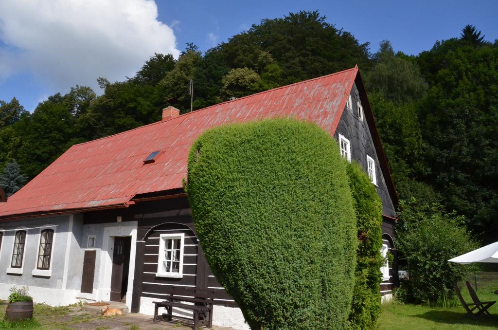 Penzion U Kozy Chřibská Dış mekan fotoğraf