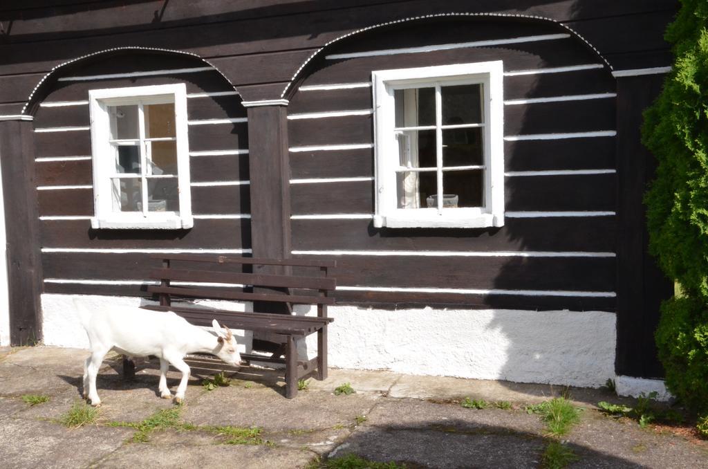 Penzion U Kozy Chřibská Dış mekan fotoğraf